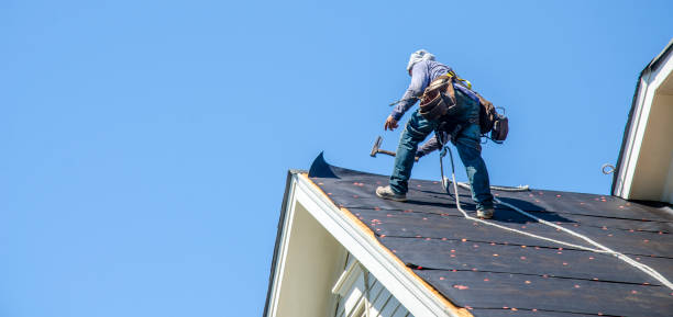 Best Gutter Installation and Roofing  in Newtown, OH
